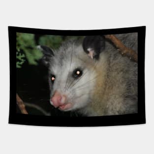 Possum Tapestry