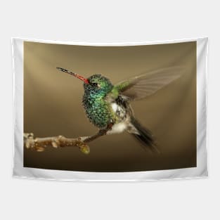 Hummingbird Tapestry