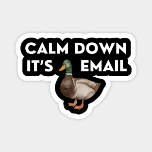 CALM DOWN, IT'S DUCKING EMAIL Magnet