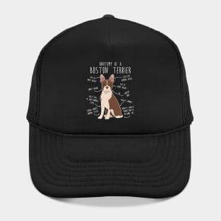 Seal Boston Terrier Dog Anatomy Hat