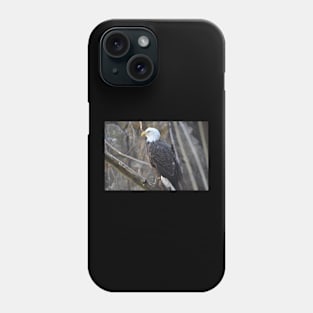 Bald Eagle Phone Case