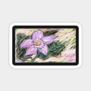 Chalkboard lily sketch Magnet