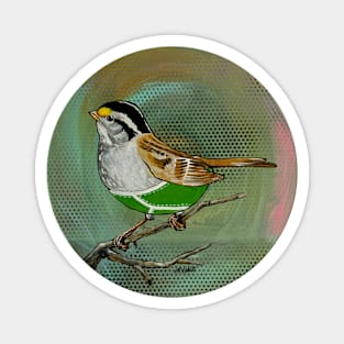 White Throated Sparrow Wearing Over-priced Vintage Y Fronts Magnet