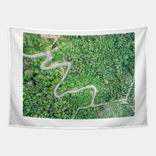 Aerial view of curvy mountain road through a jungle Tapestry