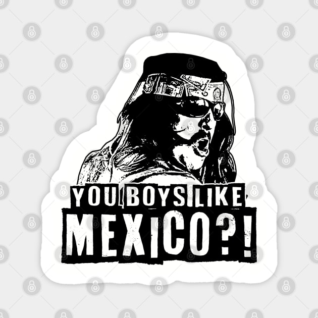 YOU BOYS LIKE MEXICO?! Magnet by ilcalvelage