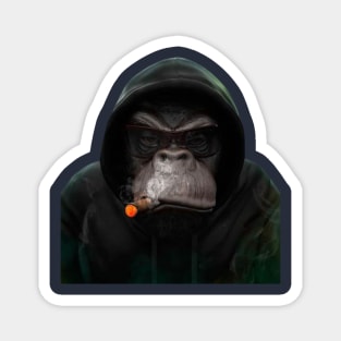 Chimp Smoking Magnet