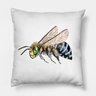 Australian Blue-banded Bee Pillow