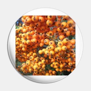 Orange Berries Seaberry Pin