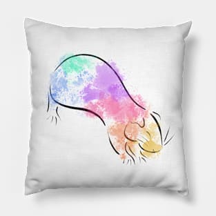 Rainbow Guinea Pig Pillow