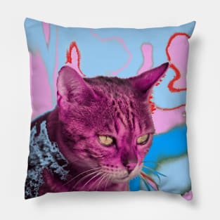 Cat LSD Pillow