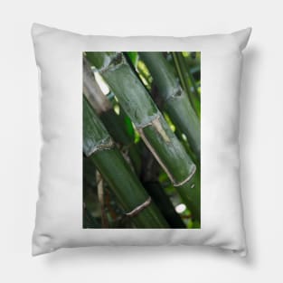 A Bamboo Experience © Pillow