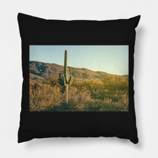 Sonoran Desert Pillow