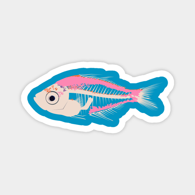 Indian Glassy Fish Magnet by stargatedalek