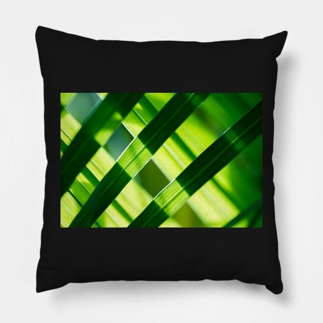 Woven Palm Leaves Pillow by heidiannemorris