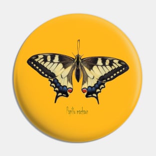 Papilio machaon Pin