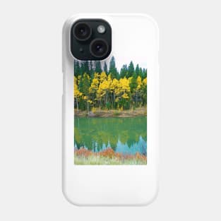 Colorado Aspens Study 35 Phone Case