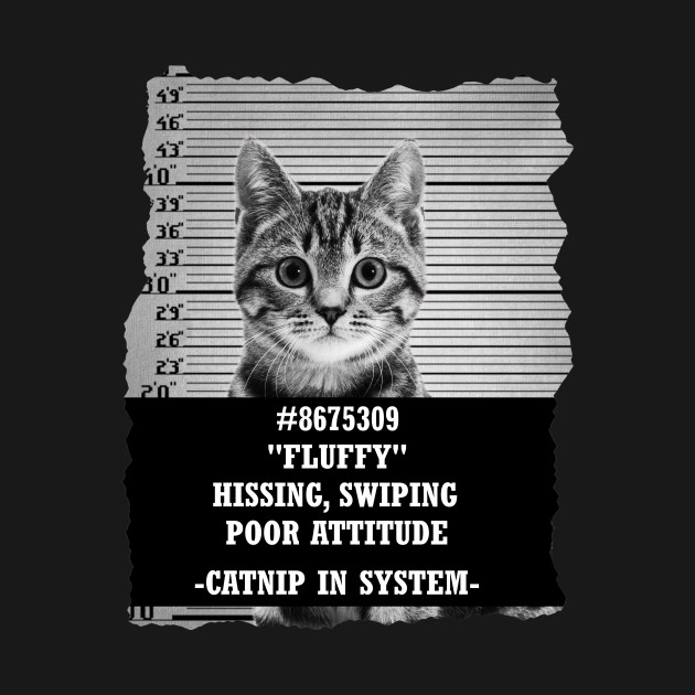  Cat Mugshot  T Shirt Kitten T Shirt TeePublic