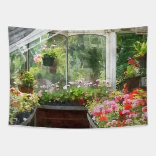 Geraniums in Greenhouse Tapestry