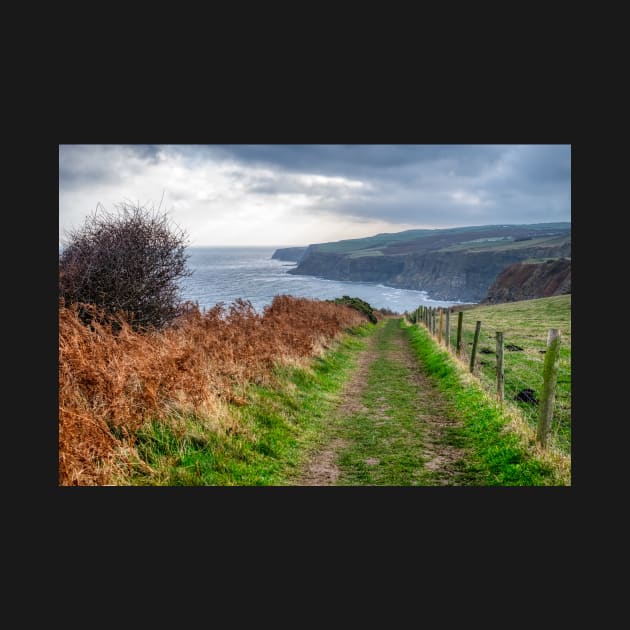 Cleveland Way North Yorkshire Coastline by stuartchard