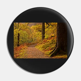 Autumn Trees at Ullswater Pin