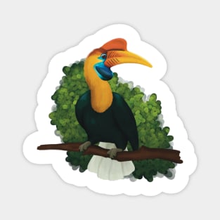 Hornbill Magnet