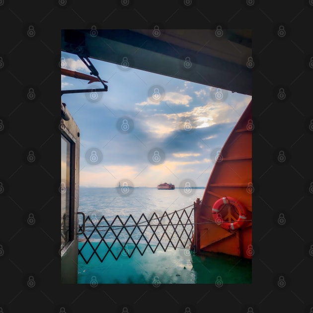 Staten Island Ferry Lady Liberty Boat New York City by eleonoraingrid