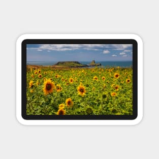 Rhossili Sunflowers Magnet