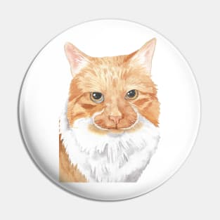 orange cat watercolor portrait Pin