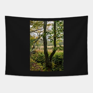 Autumn Tree Landscape Scene Tapestry