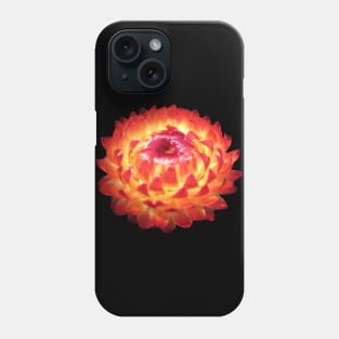 magical blossom, flower, summer, sun, orange, red, yellow Phone Case