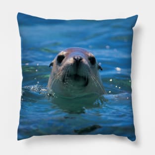 SMILING SEAL IN THE SEA DESIGN Pillow