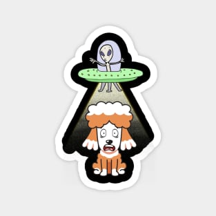 Funny poodle is being abducted by aliens Magnet