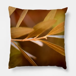 Visible Peace - an Olive Branch Pillow