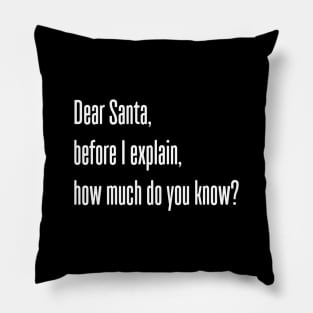 DEAR SANTA BEFORE I EXPLAIN HOW MUCH DO YOU KNOW Pillow