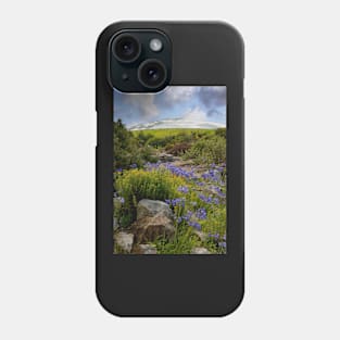 National Botanic Garden of Wales Phone Case