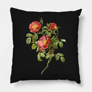 Vintage Rose Pillow