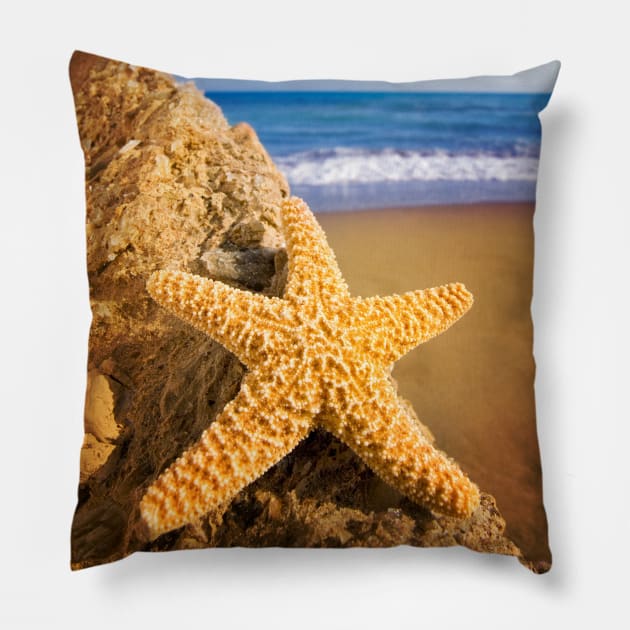 Starfish on Stone Pillow by StylishPrinting