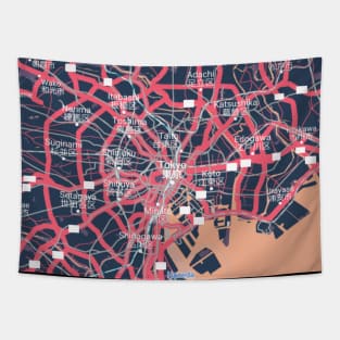 Tokyo colour map Tapestry