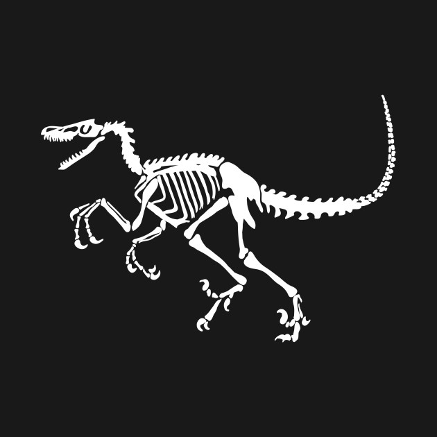 most complete velociraptor fossil