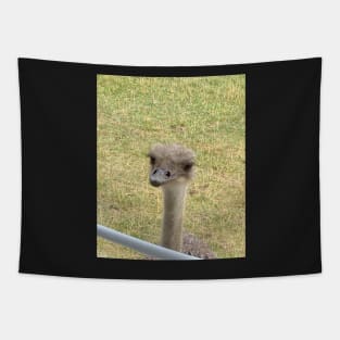 Peeping Ostrich Tapestry