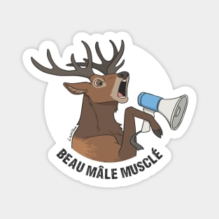 Beau Mâle Musclé - FR - Cerf Élaphe Magnet