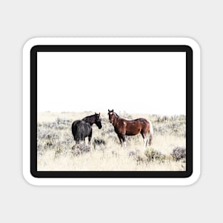 Horses, Horse print, Horse art, Wall art, Wall decor, Trendy print, Animal print, Interior Magnet