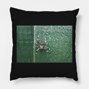 Incy Wincy Spider Pillow