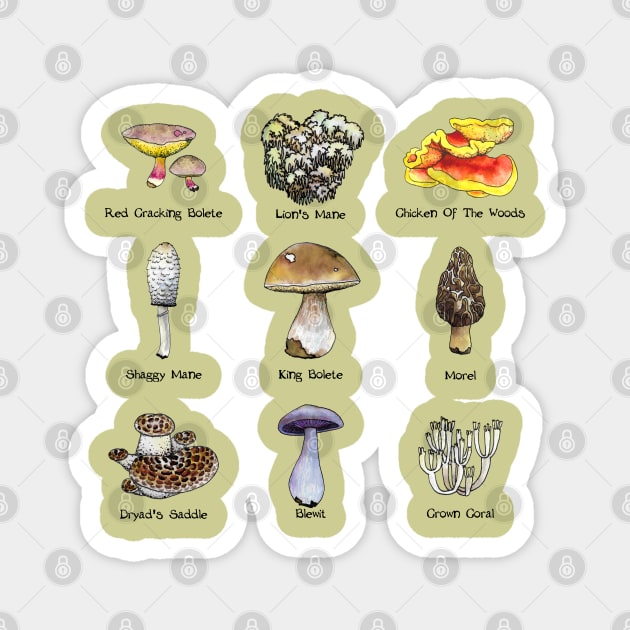 Mushroom ID Magnet by ThisIsNotAnImageOfLoss