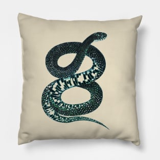 serpent,cobra,reptile,viper,venom,lizard,rattlesnake,king cobra Pillow