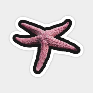 Happy Starfish Magnet