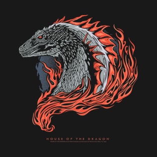 House of the Dragon Illustrated Dragon with Fire T-Shirt