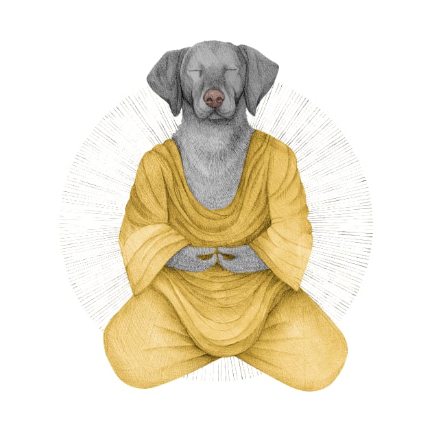 meditating dog 1 by KindSpirits