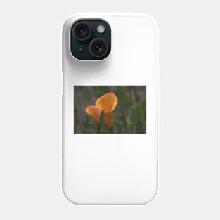 850_6111 Phone Case