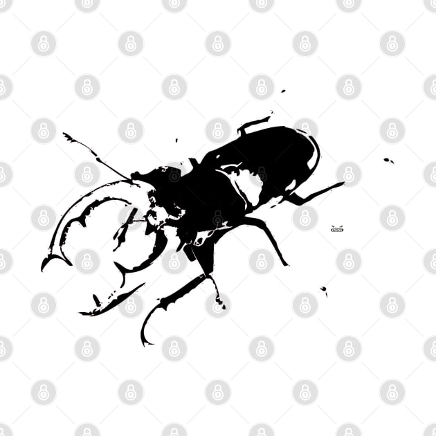 Stag beetle by Wolf Art / Swiss Artwork Photography